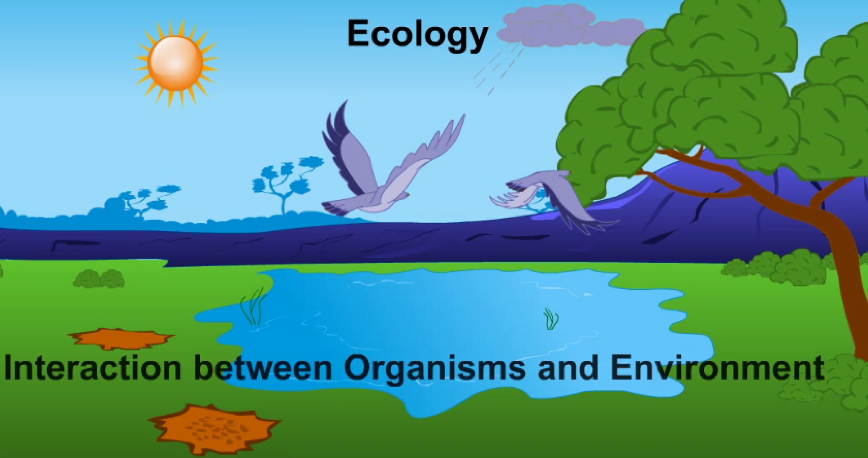 54e8aa857bf577636af3ac88_Behavioral.Ecology1.Ecology.and.Environment.jpg